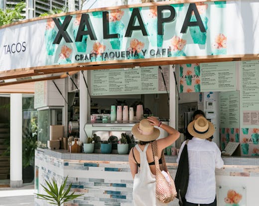 Xalapa Noosa