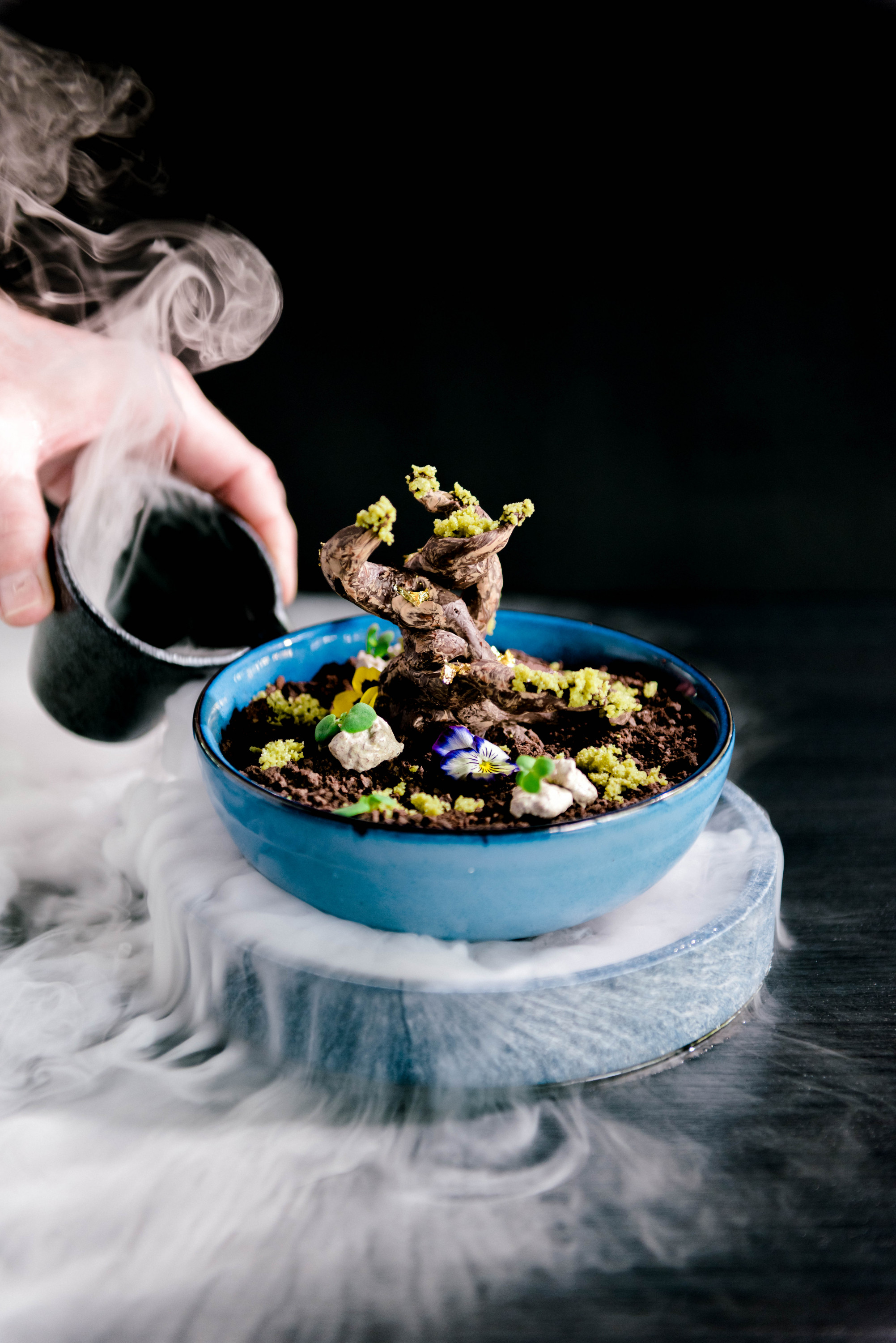 an intricate chocolate bonsai dessert