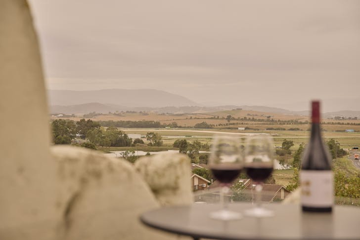 Glasses against the backdrop of the Yarra Valley 