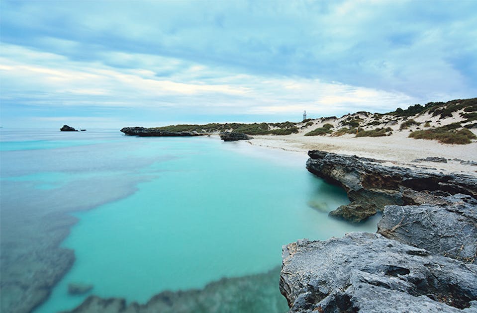 Here S Why You Need To Visit Rottnest Island This Winter Urban
