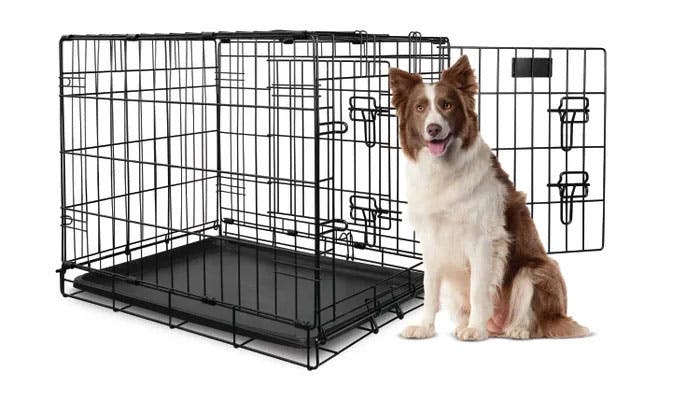 Yours Droolly Double Door Dog Crate 36 Inch from Animates