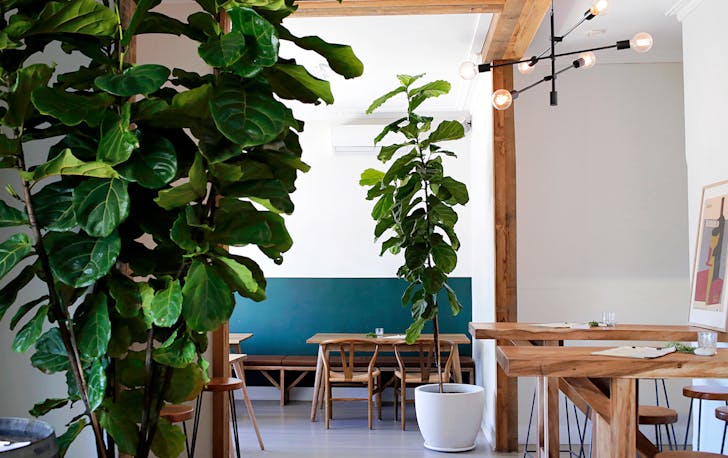 Inside SKÃL