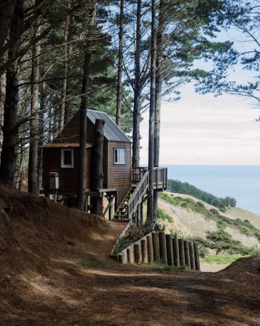 A treehouse-style wood cabin Airbnb in the New Zealand forest overlooking Whale Bay