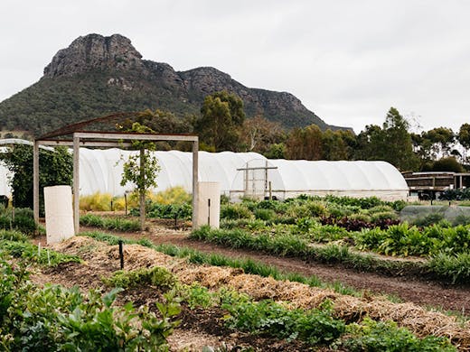 Get Buckle Up How To Eat Your Way Through Victoria S Most Scenic Road For iPhone Free Get Wallpaper Buckle Up How To Eat Your Way Through Victoria S Most Scenic Road For Android