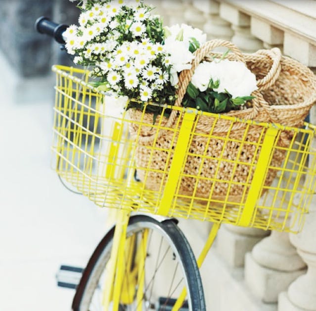Sydney S Best Bike Shops Urban List Sydney