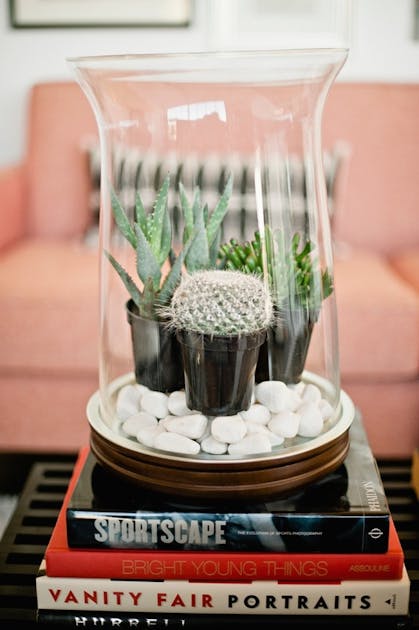 A Brief Guide to Terrariums URBAN LIST BRISBANE