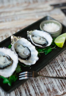 What S New In Brisbane July Urban List Brisbane
