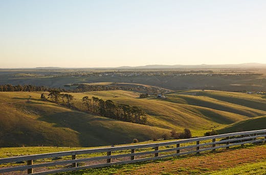 Private Winery Tours Melbourne Bespoke Itinerary Personal Experience