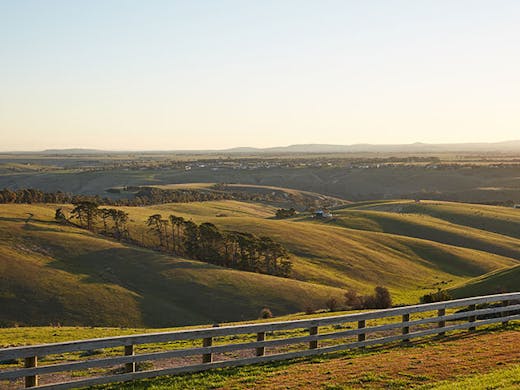 Private Winery Tours Melbourne Bespoke Itinerary Personal Experience