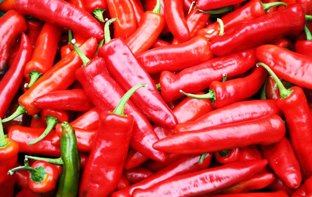 There's A Chilli Festival Coming To The Sunshine Coast URBAN LIST