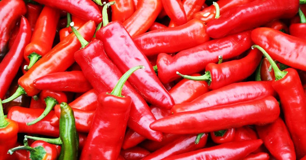 There's A Chilli Festival Coming To The Sunshine Coast URBAN LIST
