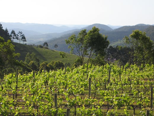 Escape To The Vineyards At These Stunning Wineries On And Around The Sunshine Coast Urban List Sunshine Coast