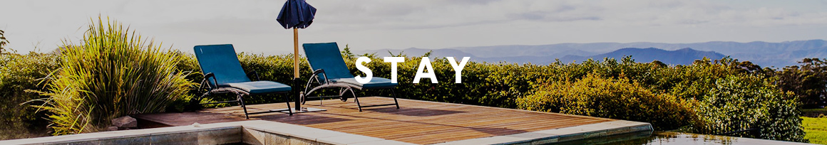 stay banner