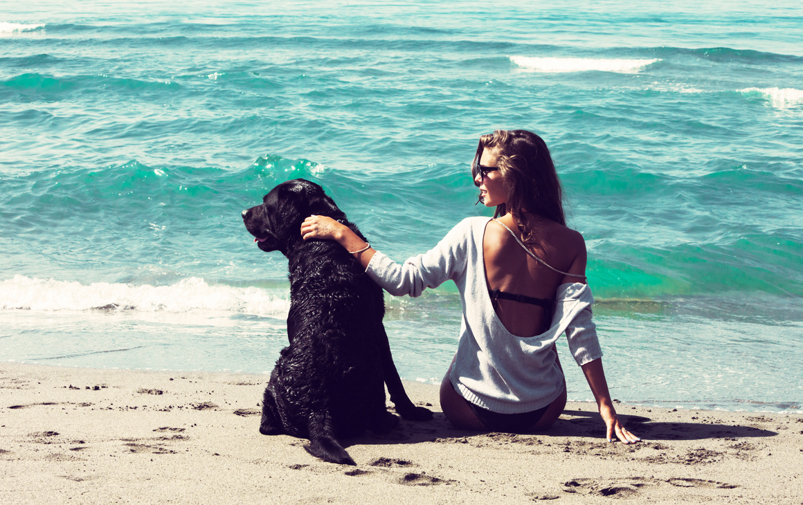 can you take dogs to burleigh beach