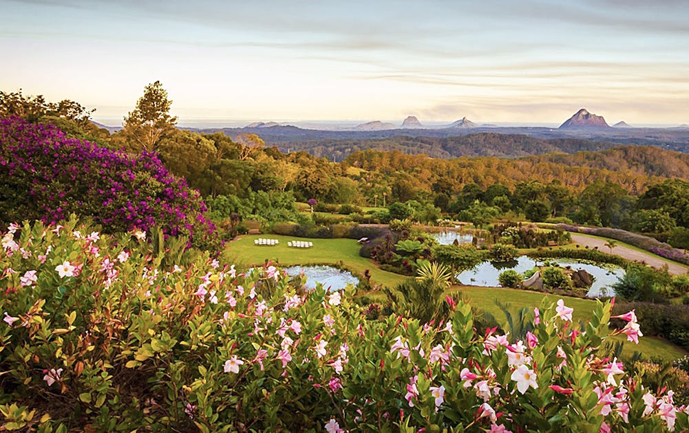 Maleny Botanic Gardens And Bird World Ticket Klook Malaysia