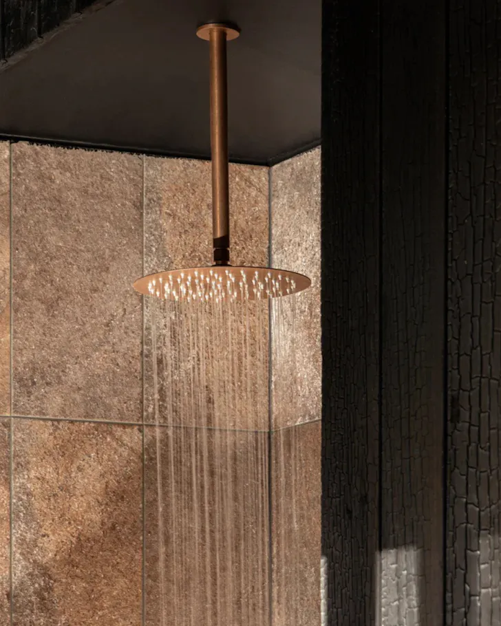 ABI interiors showerhead