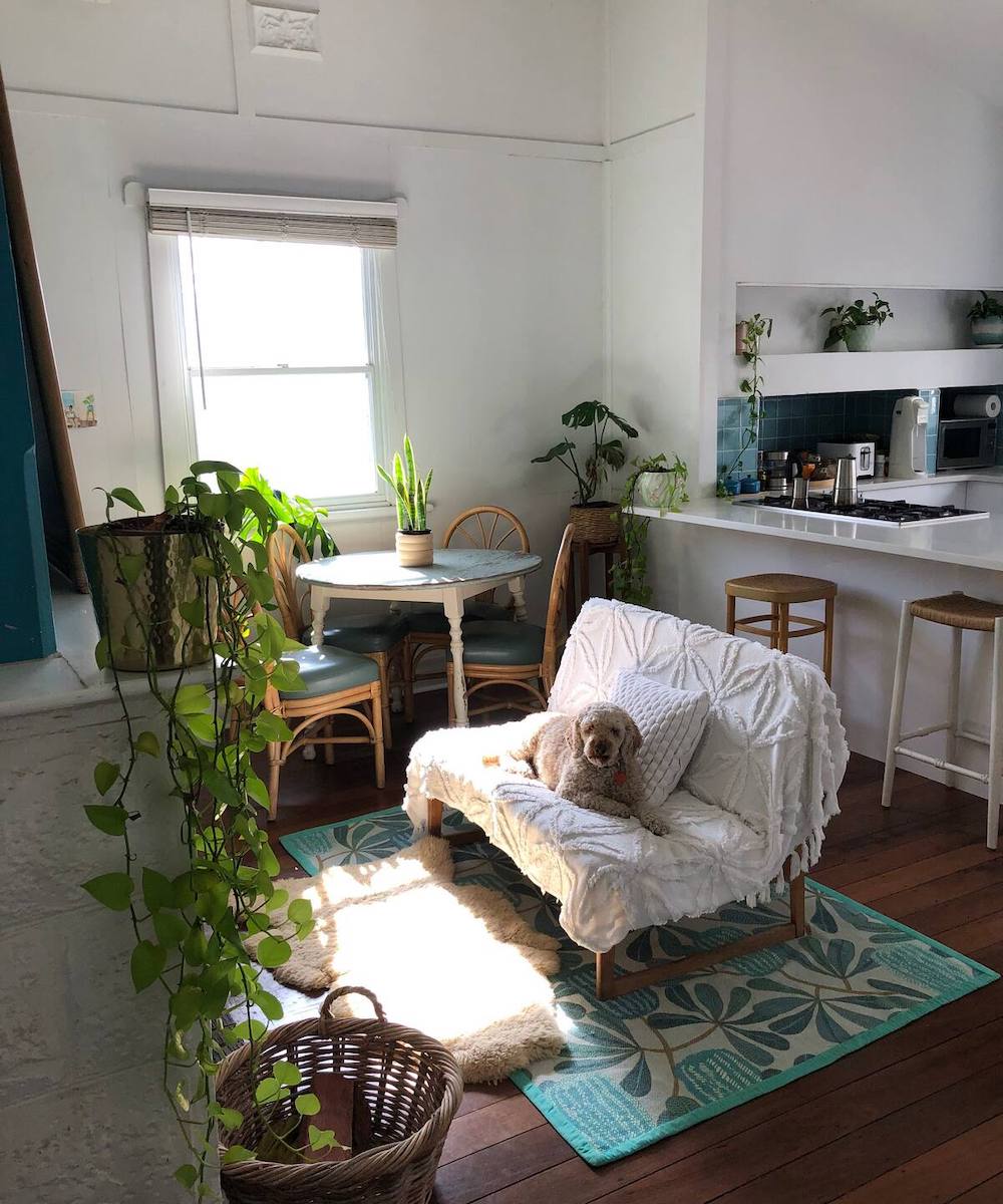 Airbnb room with a dog in Fremantle