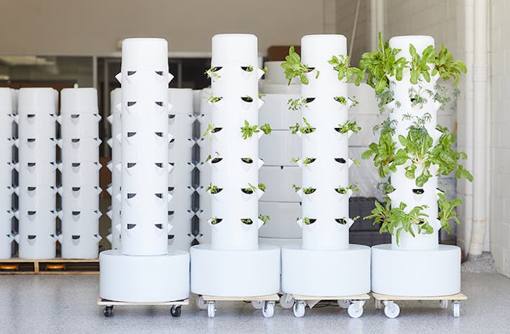 4 Airgardens at different stages