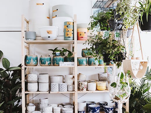 all-the-green-things