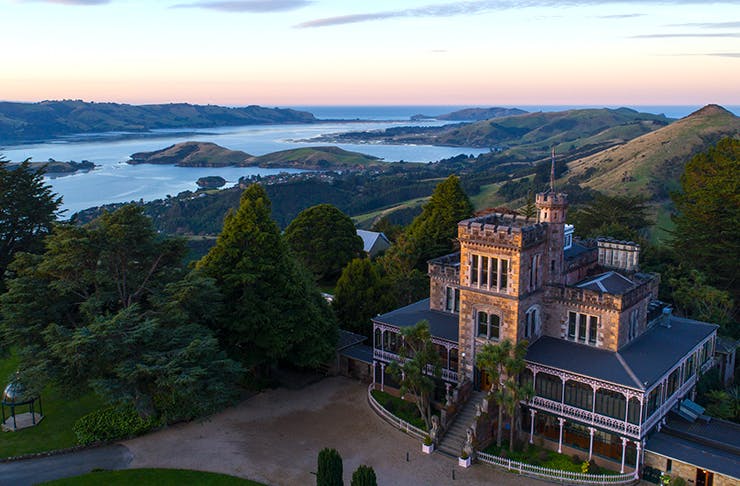 All The Reasons You Need To Visit Dunedin This Year