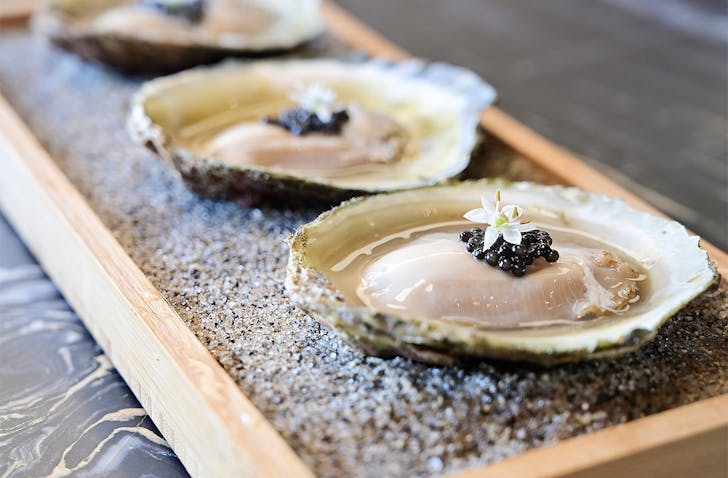Bluff oysters on a sandy plate at Amisfield.