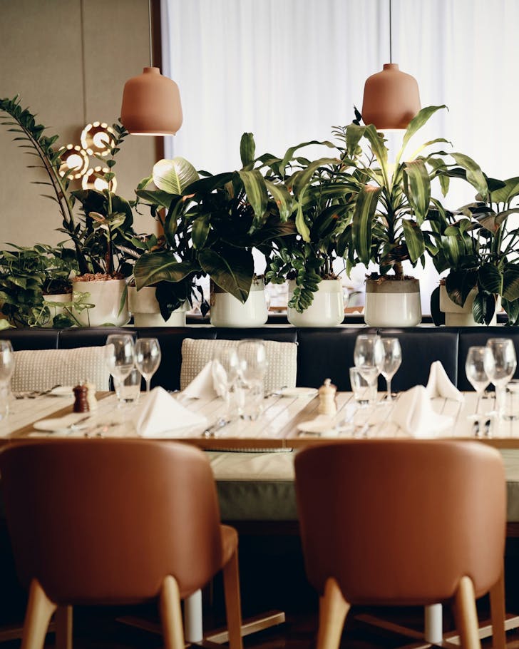 dining room at amora hotel, one of the best places to visit for fathers day 2025 in sydney