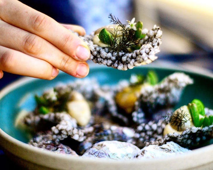 oyster on squid ink cracker