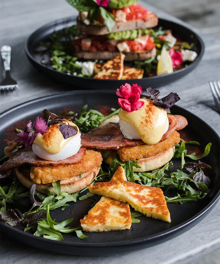 a plate of eggs benny