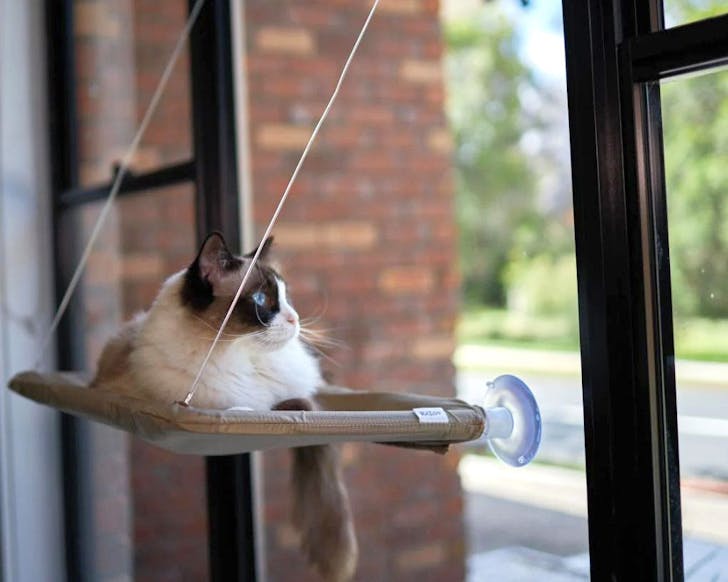 Animates Kazoo The Lookout Window Cat Bed with Ragdoll