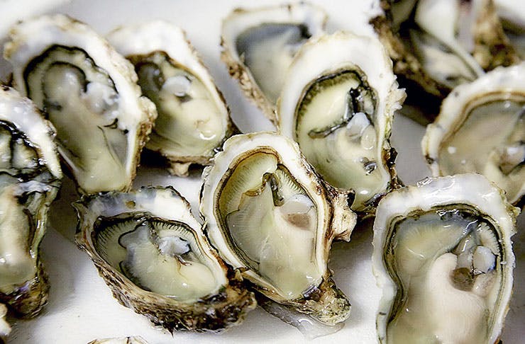 Bite Club | Foodie News You Need To Know