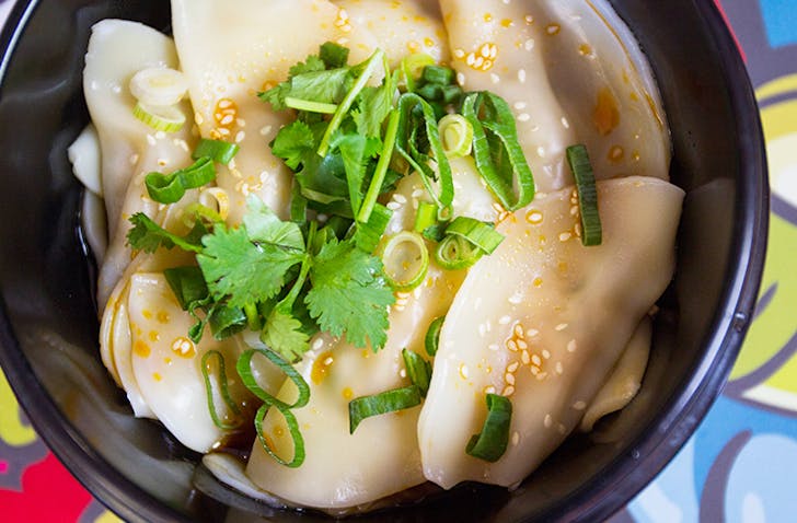 auckland best dumplings