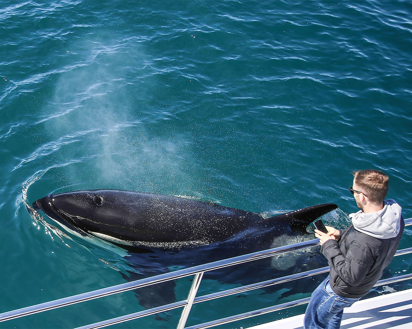 A person looks on as a whale floats next to the boat.