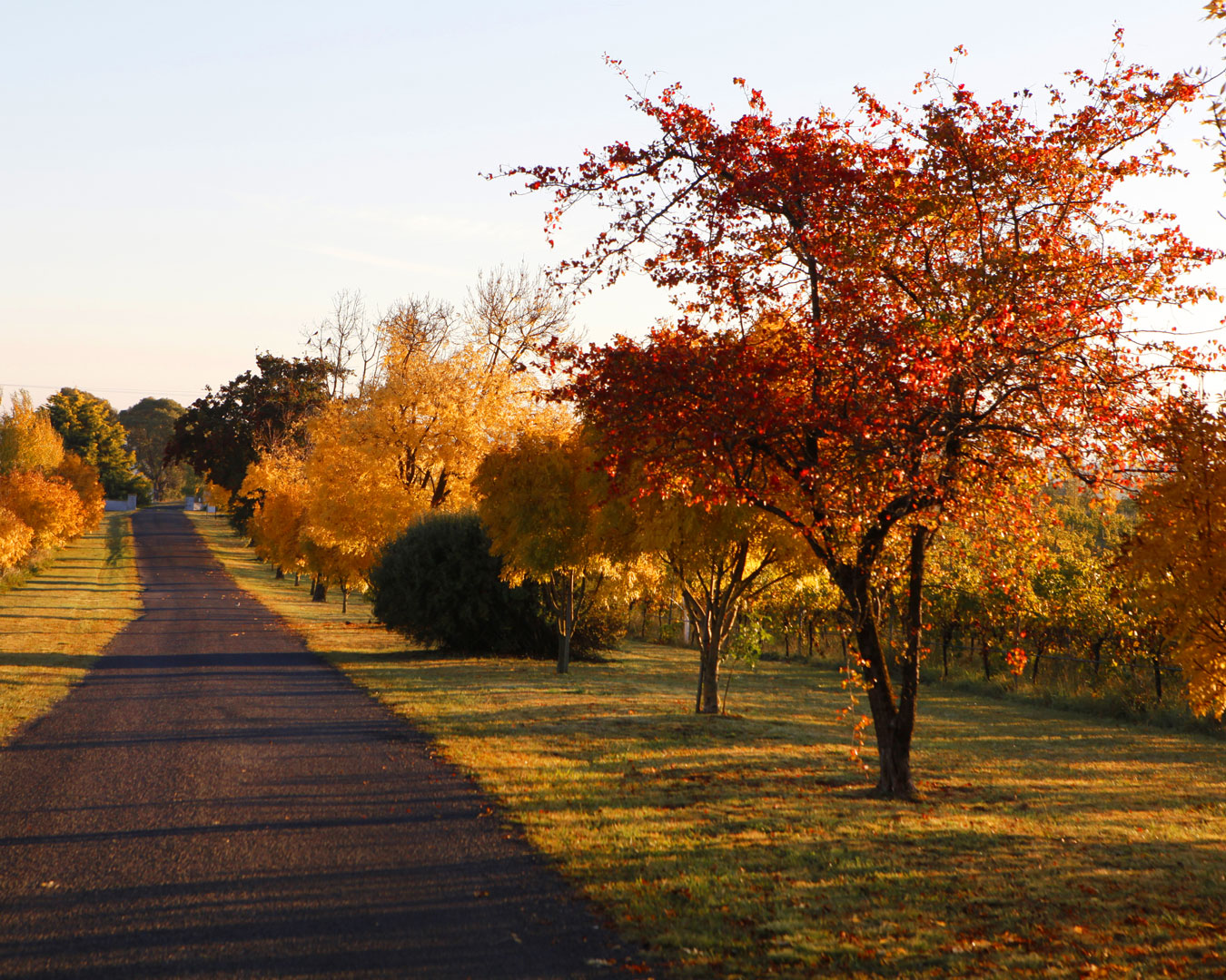 nsw places to visit in autumn