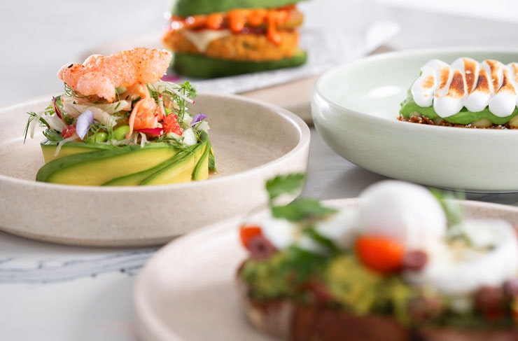 Various avocado dishes