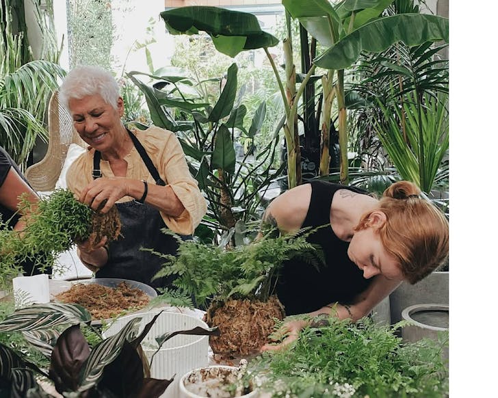 People smile in a lush, plant-laden room while a Babylon Store workshop.