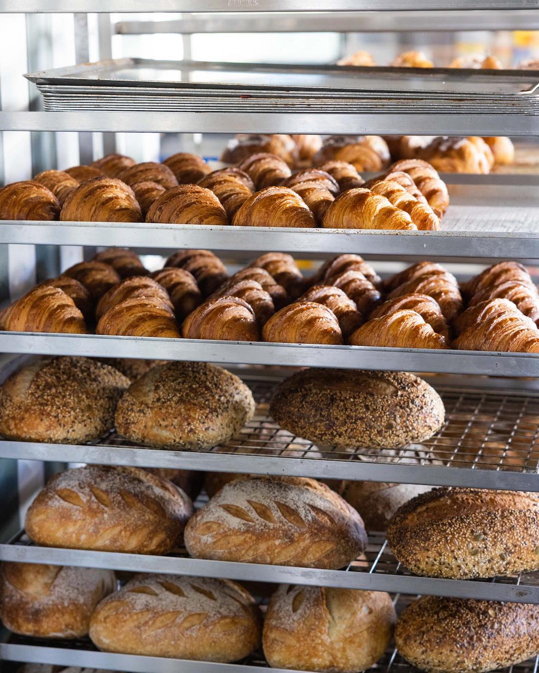bakery sydney breadfern redfern