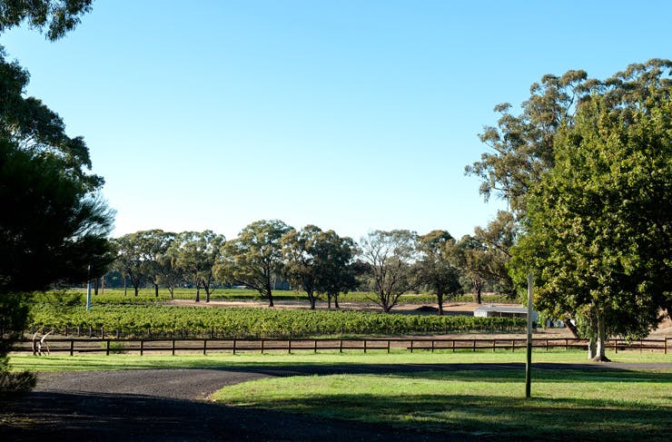 balgownie-estate-melbourne
