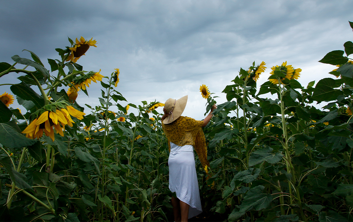A woman in a field of sunflowers