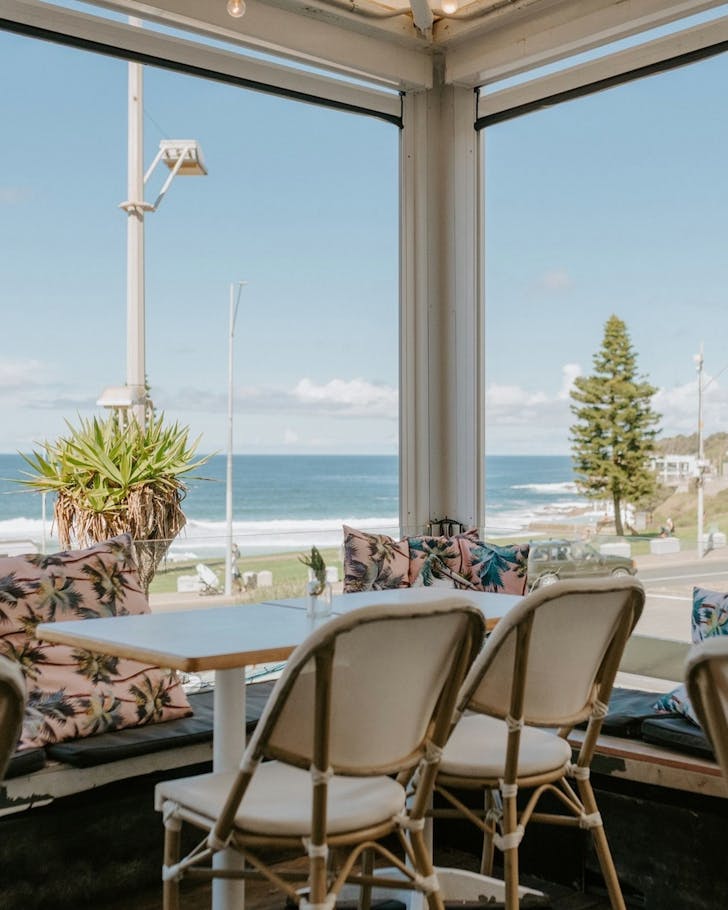 bars bondi don pedro's