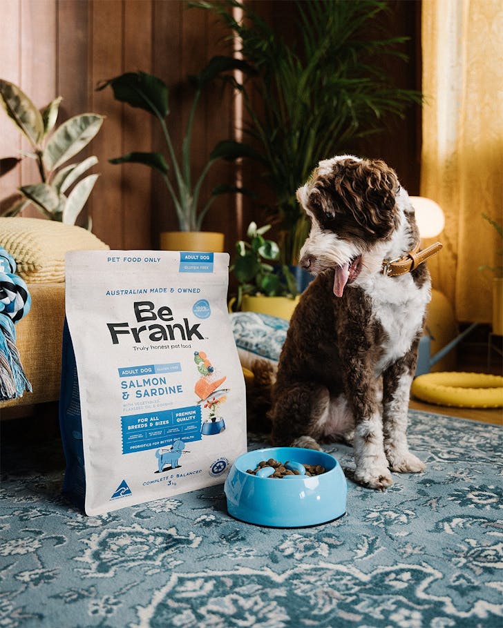 A dog looks at a bag of Be Frank.