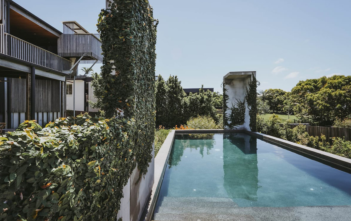 a pool surrounded by vines