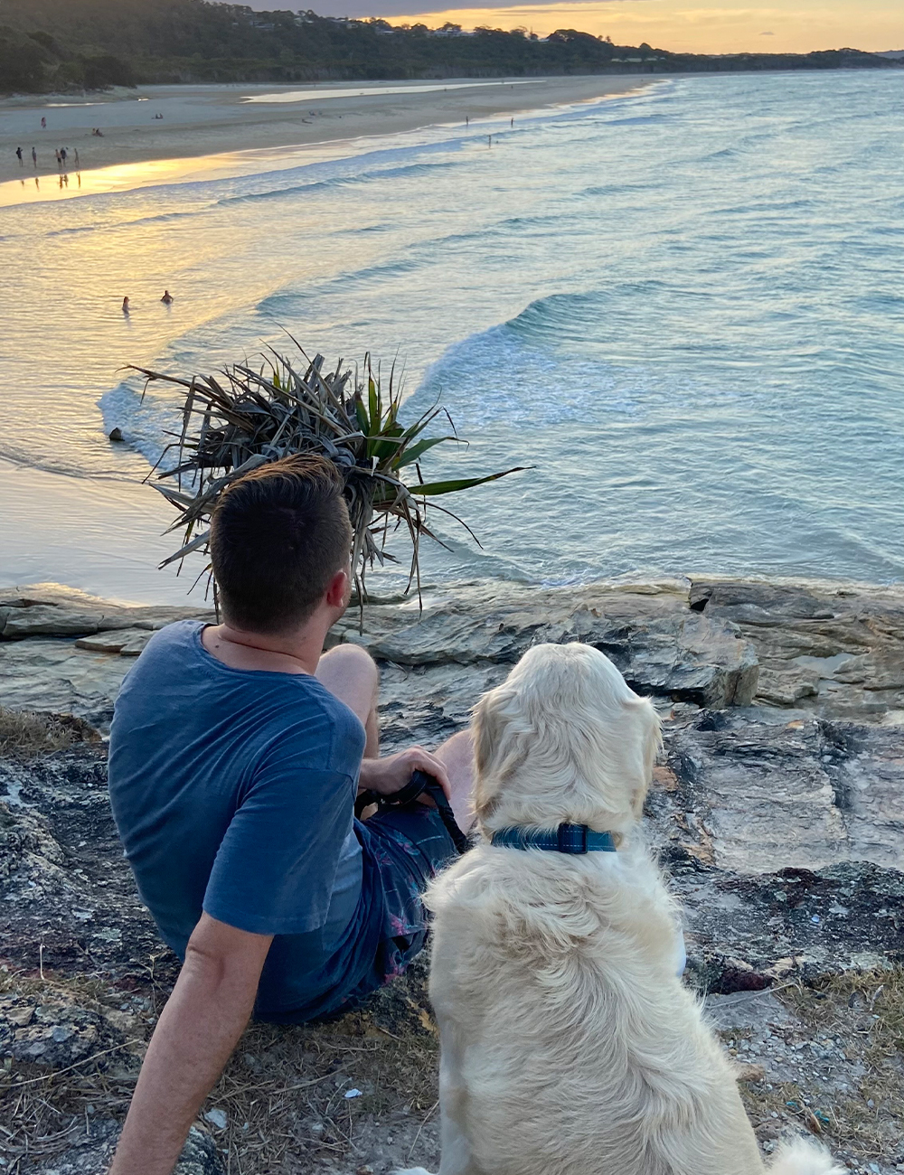 a man and a dog sitting overlooking a beach