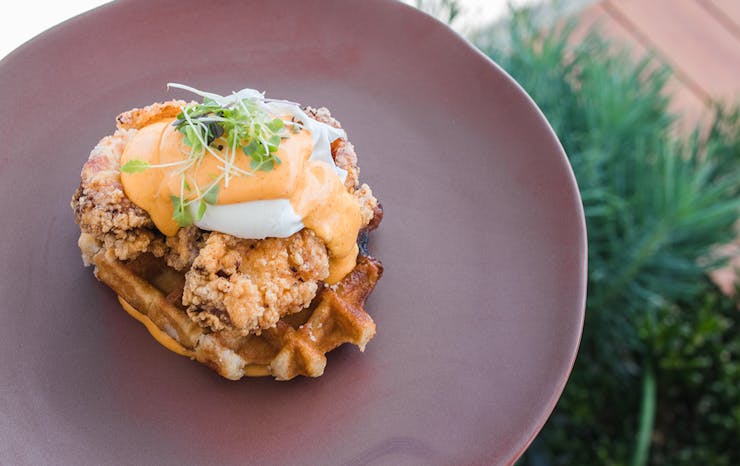 Gold Coast Favourite Bear Boy Espresso Just Opened In Windsor For All