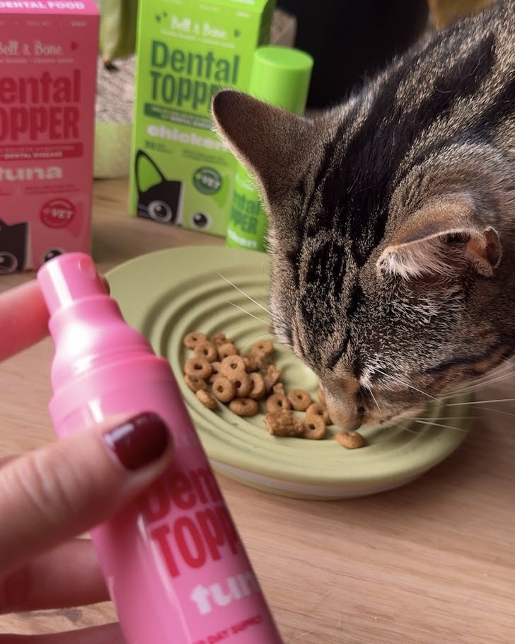Bell and Bone cat and dog dental spray