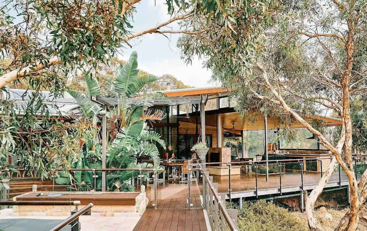 An Airbnb in WA surrounded by trees.