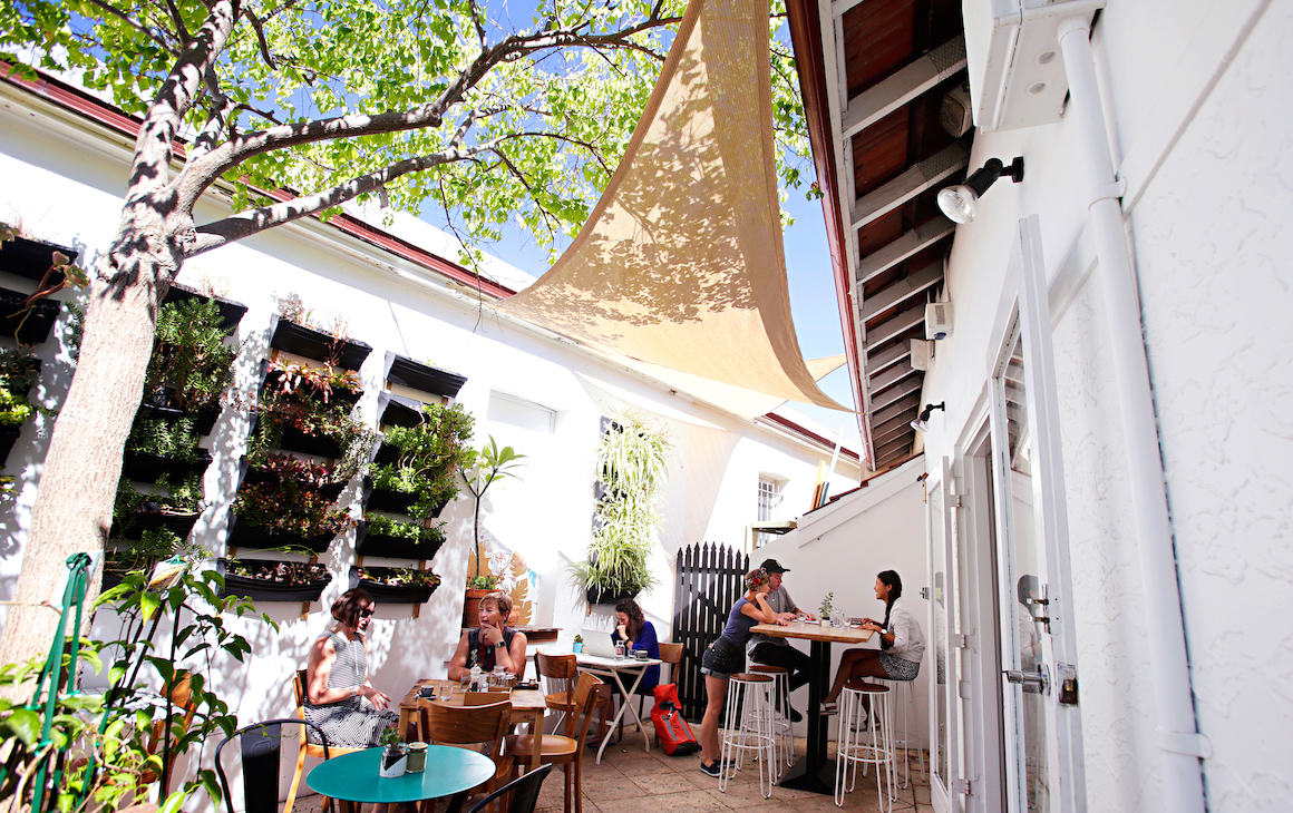 a leafy courtyard at a cafe in Fremantle