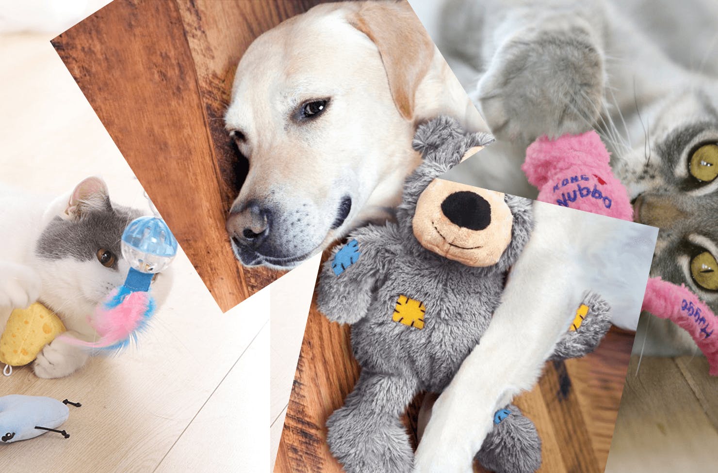 A collage of cat and dog toys