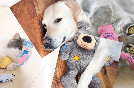 Best Selling Interactive Dog Toys You Must Know in 2023