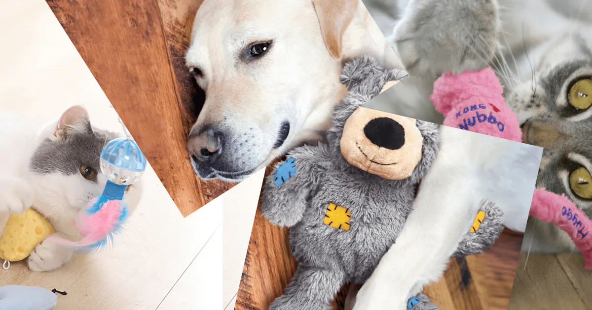 Utkgmy0unbmt1m Utkgmy0unbmt1m