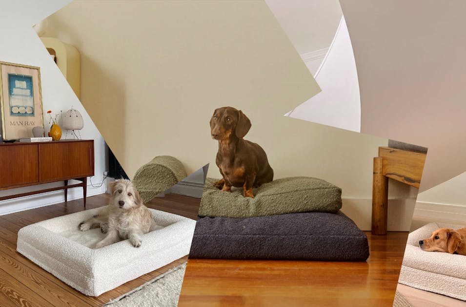 Find the Perfect Dog Bed Round: Top Picks for Your Companion's Comfort